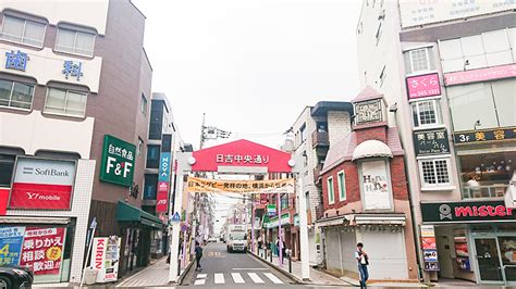 日吉駅 何がある そして、なぜそこに猫がいるのか？